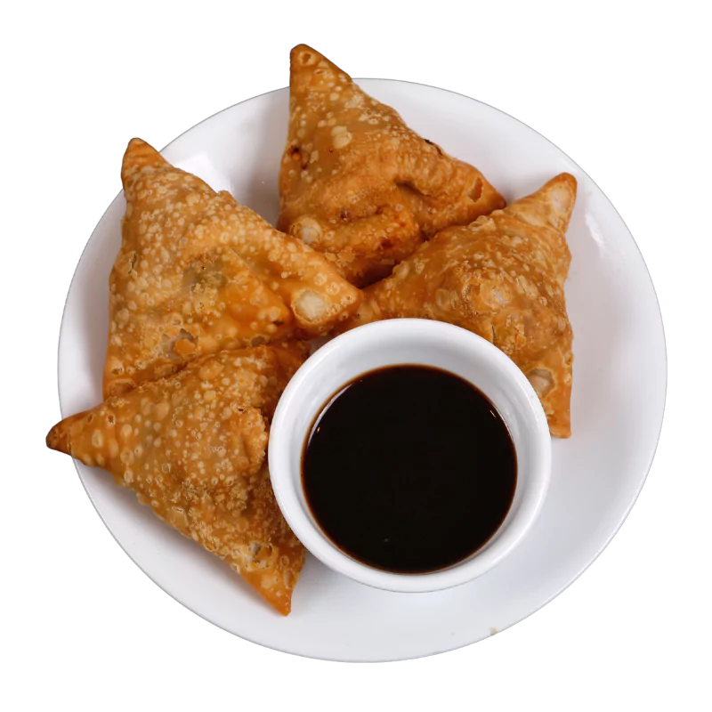 samosa samosa